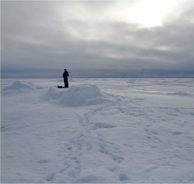Северный полюс: история поиска 