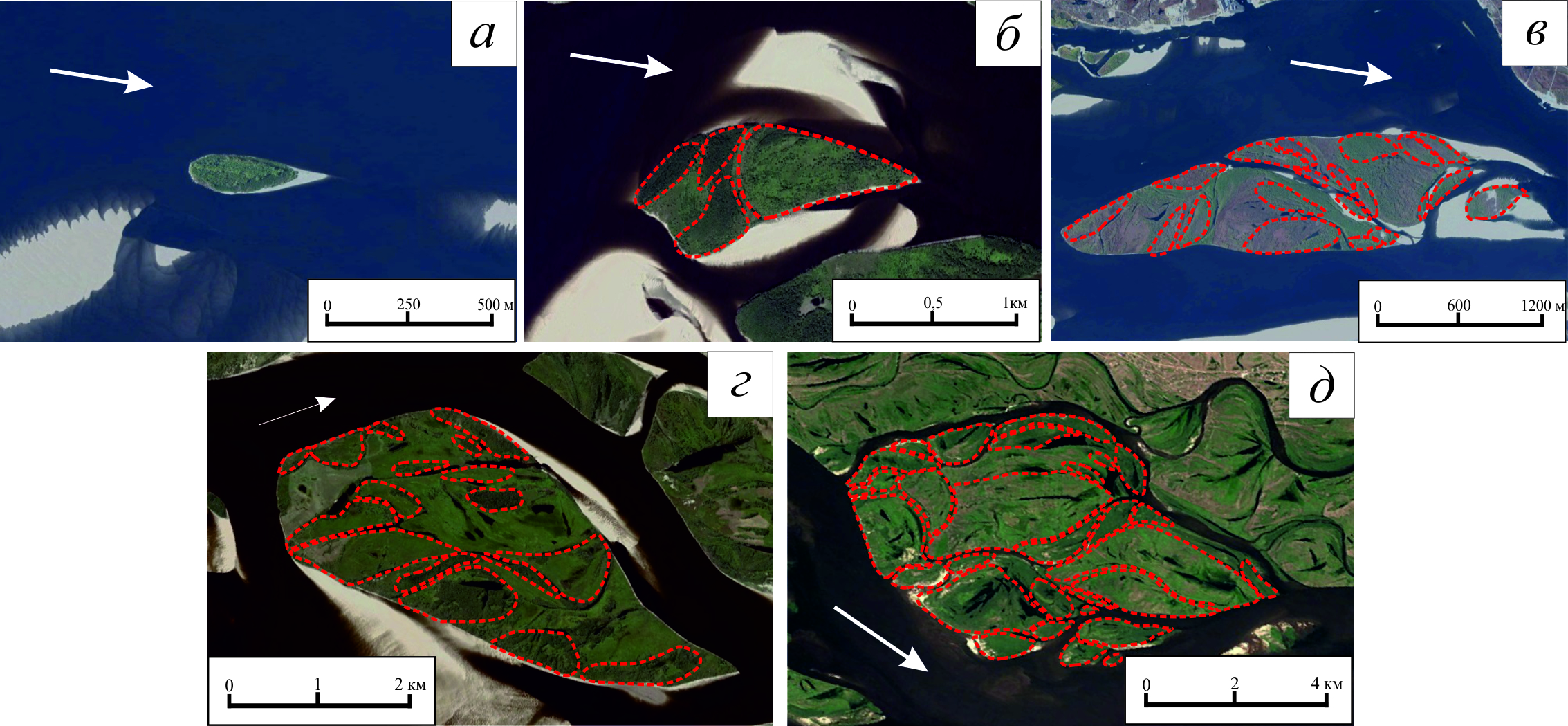 Стадии развития островов в руслах Оби и Лены определили в лаборатории эрозии почв и русловых процессов МГУ